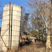 Ness Farm