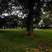 Library Park