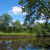 Long Bridge Park