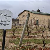 Salem Oak Vineyards