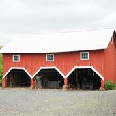 Rippel Hill Farm