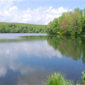 Mount Hope Pond