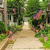 Pitman Grove