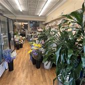 Cliff Garden Florist