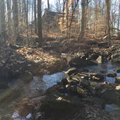 Tenafly Nature Center