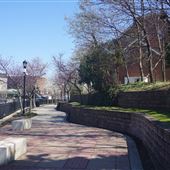 Elizabeth River Trail
