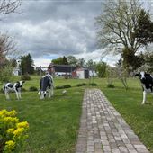 Wagner Farm Arboretum and Gardens