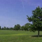 Skillman Park