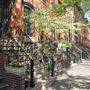 Jersey City Historic Downtown - Hamilton Park