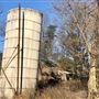 Ness Farm