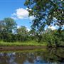 Long Bridge Park