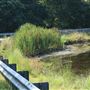 Ocean Township - Brookville Road and Jones Road