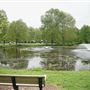 Southard Park 