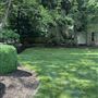 House #10261616