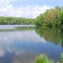 Mount Hope Pond
