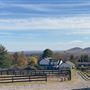 Whitetail Acres Racquet, Swim, and Equestrian Club