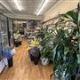 Cliff Garden Florist