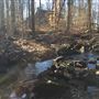 Tenafly Nature Center