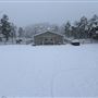 House #10302390