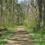 Institute Woods