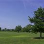 Skillman Park