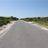 Island Beach State Park - Shore Road