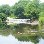 Saddle River County Park - Dunkerhook Area