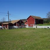 Tamerlaine Sanctuary and Preserve