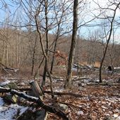 Ramapo Mountain State Forest - Cannon Ball Trail