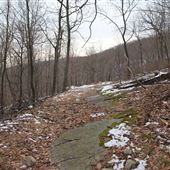Ramapo Valley County Reservation - Halifax Trail