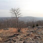 Ramapo Valley County Reservation - Ridge Trail