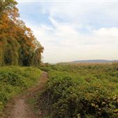 Palisades Interstate Park - Shore Trail