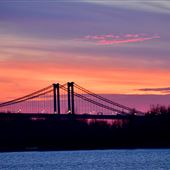 Walt Whitman Bridge