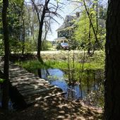 Brendan T. Byrne State Forest - Whitesbog Village Trails