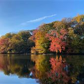 Hopkins Pond