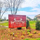 Saddlehill