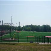 Vivyen Fields