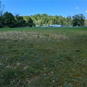 Large Grassy Field with Trees