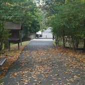Haring Drive Footpath