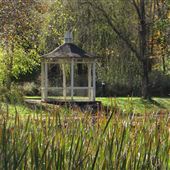 Littel's Pond