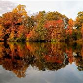 Pitman Waterways