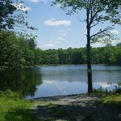 Turkey Brook Park - Maier's Pond