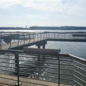 Michael J. Doyle Fishing Pier