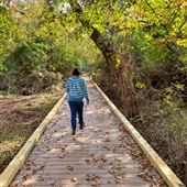 Dead Tree Run Boardwalk