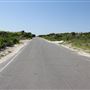 Island Beach State Park - Shore Road