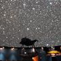 New Jersey State Museum - Planetarium