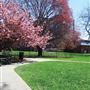 The Newark Museum - Alice Ransom Dreyfuss Memorial Garden