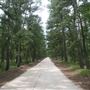 Wharton State Forest - Washington Turnpike