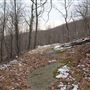 Ramapo Valley County Reservation - Halifax Trail