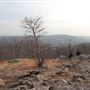 Ramapo Valley County Reservation - Ridge Trail
